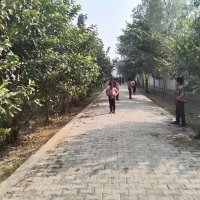 सन्तोष गंगवार दैनिक आज पत्रकार (@santosh41544144) 's Twitter Profile