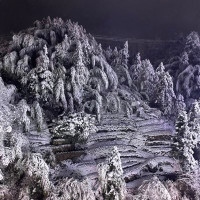 zhang730318's profile picture. 