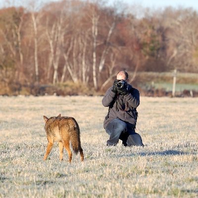 Nick Haveranさんのプロフィール画像