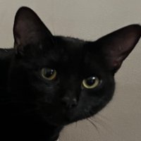 Miss Haxby (@misshaxby) 's Twitter Profile Photo