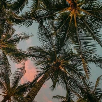 maryy_jjn's profile picture. 