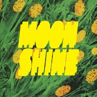 Moonshine 🦎(@moonshinemu) 's Twitter Profileg