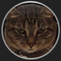 EN (@fearisawmd) Twitter profile photo