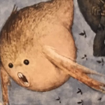 FMNH PR 2081🔞さんのプロフィール画像