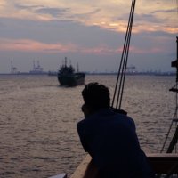 aha (@lxhl) 's Twitter Profile