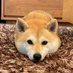 啊啊啊啊啊啊啊 (@dongziwaner) Twitter profile photo 啊啊啊啊啊啊啊 (@dongziwaner) Twitter profile photo