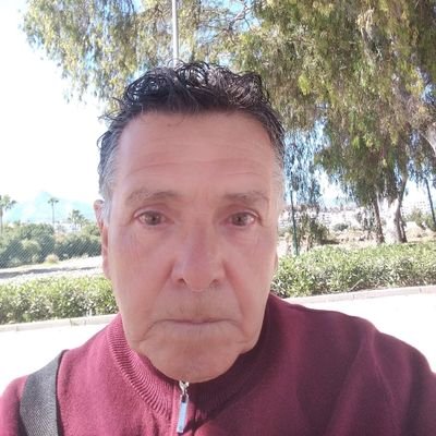 LuisDan20245796's profile picture. La musica