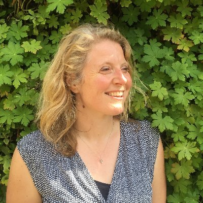 Professor of Geography, Durham & Sustainability, Utrecht. Environmental politics, esp. all things climate change, energy and urban. Coordinating https://t.co/3t7iBe0flO