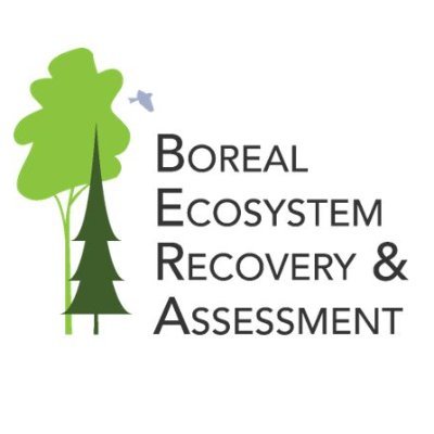 The Boreal Ecosystem Recovery and Assessment (BERA) project (https://t.co/Q1KjXov1aE) is a multi-sectoral research partnership in the Canadian province of Alberta
