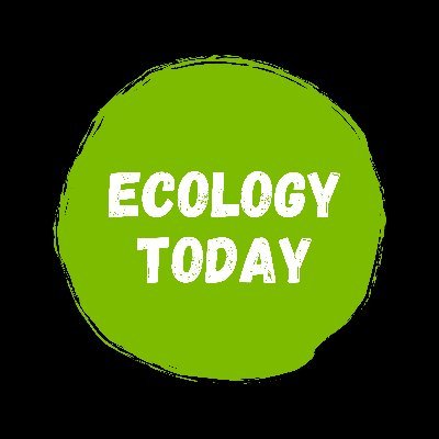 Ecology #news 📰 #Independent 💚 #ClimateCrisis 🌍 #destructions 💥 Tag @ecology_today and draw attention to #ClimateChaos Follow 👈