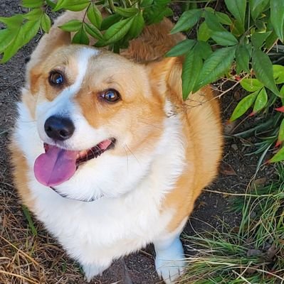 PampamMoon's profile picture. 