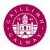 University of Galway EDI (@edi_uniofgalway) Twitter profile photo