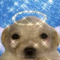 Scam Likely (@twoheadedgrrl) 's Twitter Profile Photo Scam Likely (@twoheadedgrrl) 's Twitter Profile Photo
