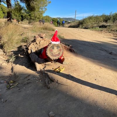 davidbravo555's profile picture. 