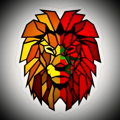 Mazikh34's profile picture. Tweet de trentenaire de NERD qui aime ça... j’ai fusionné la kassosserie de base et l’Inteligencia...
