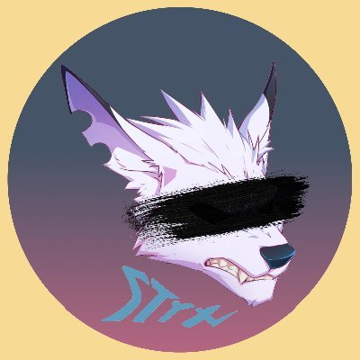 S T Y Xさんのプロフィール画像