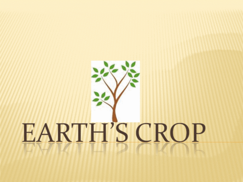 Committed to bringing the highest quality spices to the every day cook. At Earth's Crop, you'll find the best selection for all your gourmet cooking needs.