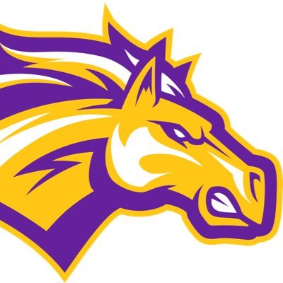 Rolling Meadows High School Athletics