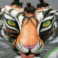 joselyto58 (@joselyto58) 's Twitter Profile
