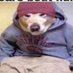 Sama Bin Bizzy (@bluburymuffin) Twitter profile photo Sama Bin Bizzy (@bluburymuffin) Twitter profile photo
