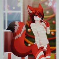 Aurora the red wolf (@skylartheredfo1) 's Twitter Profile