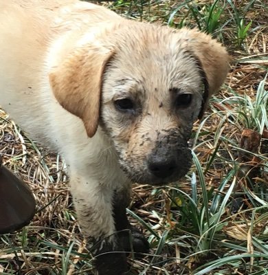 Sprouse__Ben's profile picture. 