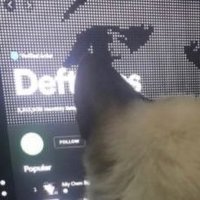 🐦 (@zhrubs) 's Twitter Profile
