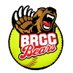 BRCC Softball (@brcc_softball) Twitter profile photo