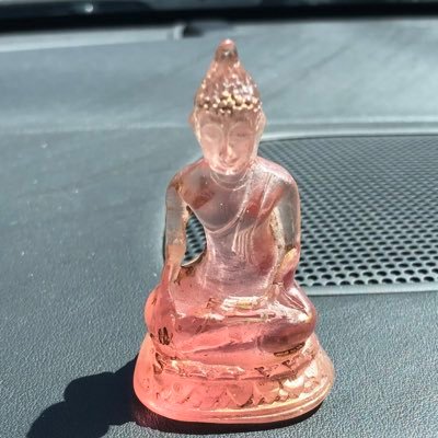 Progressive Texan 🕉️ 💙 Dog lover! 🐾💙 unreliable Buddhist 🙏🏻📿