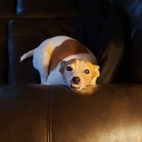 Lyndsay (@battlingbard85) 's Twitter Profile