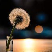 MorganF99442331's profile picture. 