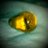 CheSooJung's profile image