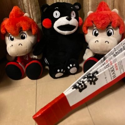 ⚽️三菱養和#養和っ子応援 Jリーグ⚽️(ロアッソ、レッズ中心に千葉、神戸、新潟、等々)子供達のお友達を中心に応援色々なチーム見るけどお許しください 東京在住新宿生まれ江戸っ子😊癌サバイバー←それでも元気に遠征民できるよっ