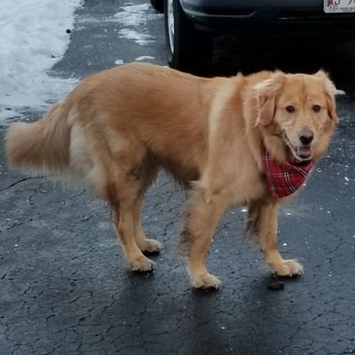 Josegas88415147's profile picture. Mi humanidad