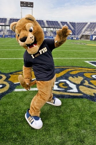 If the real Roary tweeted, he would be tweeting what is said here.
Not the real Roary, mascot for FIU. Not affiliated with FIU.
Go Panthers!