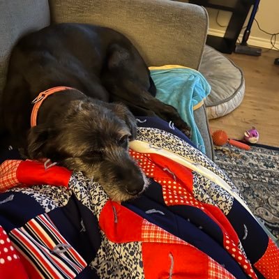 dragonflystouch's profile picture. 