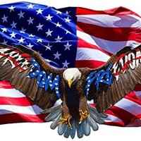 Conservative ๐บ๐ธ๐บ๐ธ (@health93104487) 's Twitter Profile