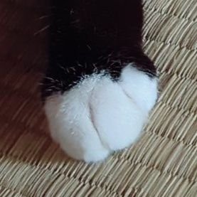 スミン🐑さんのプロフィール画像