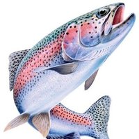 Alaska Fish Hunters(@AKFishHunters) 's Twitter Profile Photo