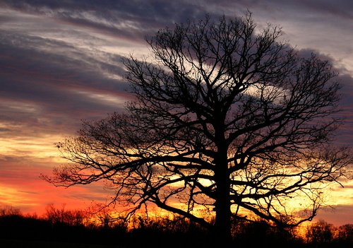 spacegeekazoid's profile picture. 