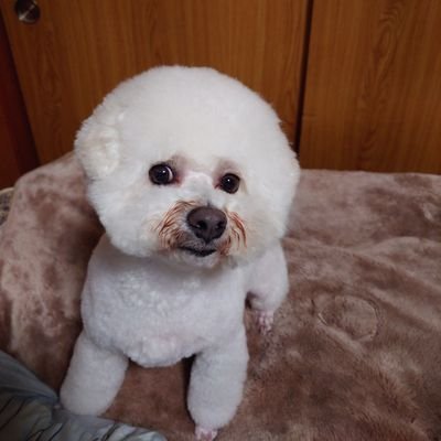 kYB8CQZyRTpcFvN's profile picture. 