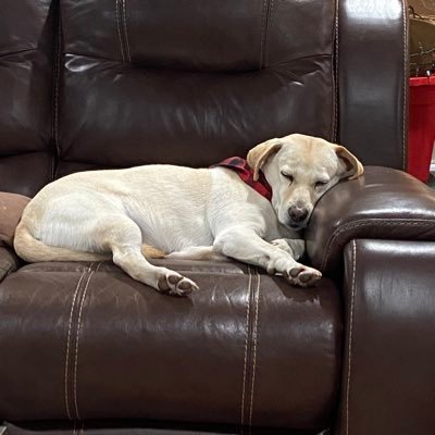 Mike13_81's profile picture. 