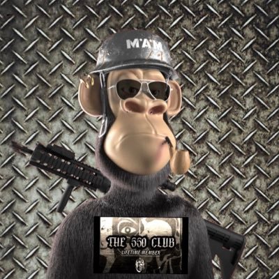 FiscalDegen's profile picture. @MetaApeMilitia1 @SoljasNFT