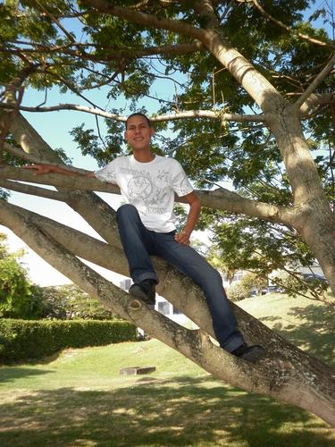 jeanpierfelipe's profile picture. 