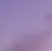 Kunicacaur's profile picture. 