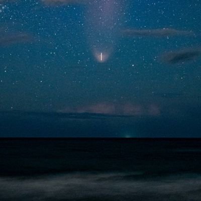 l3monad3ath3's profile picture. 