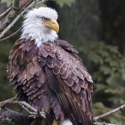 dddred23's profile picture. “Silence is complicity” I vote!