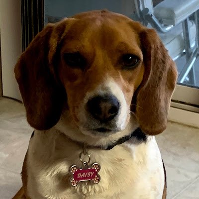 daisyfvxlr's profile picture. 