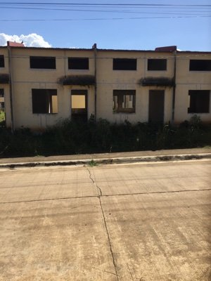 WizmasterCDO's profile picture. Xilch