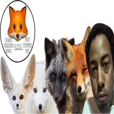 🇯🇵🇭🇰🇹🇼🦊 Baron Tremayne Caple A.K.A. Foxy Kitsune Fox Is A Video Game Designer, Video Game Developer, 3D Modeler And 3D Animator. 🦊🇹🇼🇭🇰🇯🇵